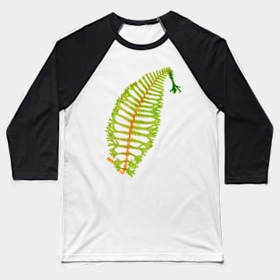 Rare wood fern - Dryopteris Baseball T-Shirt